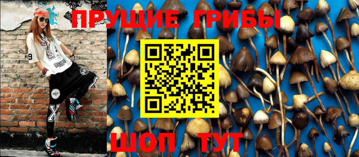 Мыски  Псилоцибиновые грибы Magic Shrooms  Вход с VPN 