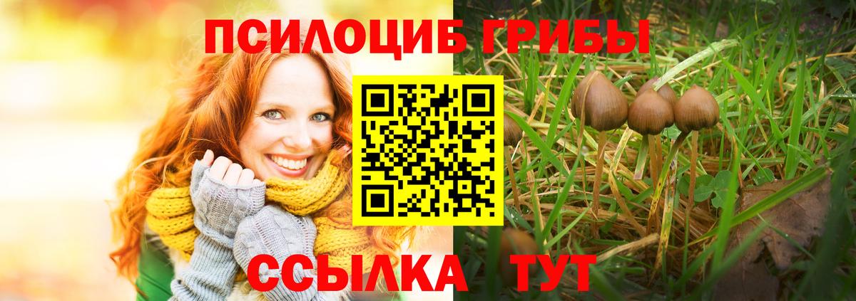 Галлюциногенные грибы Cubensis Мыски